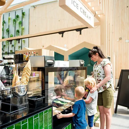 Отель Landal Seawest Nymindegab 4*